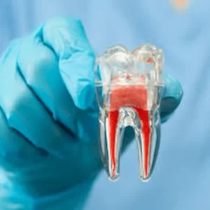 Certificación en Implantología Básica